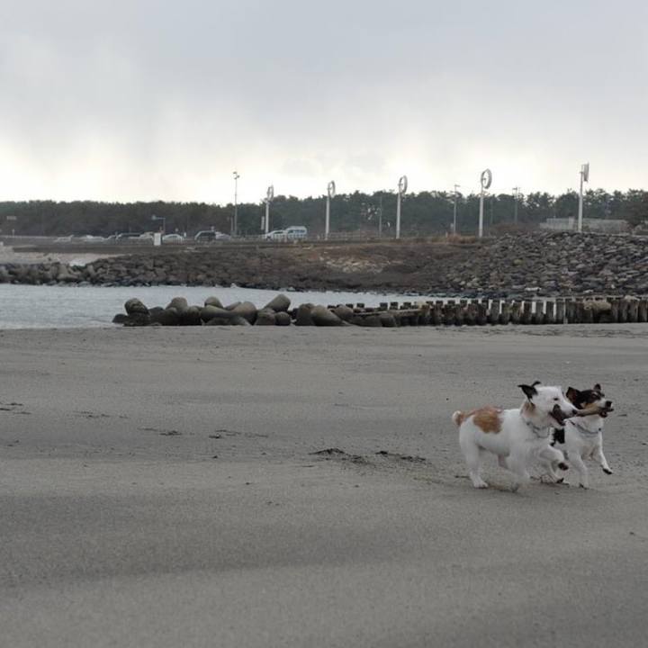 39fd48d3 e275 48b2 8fbc 5179be7dd5f3