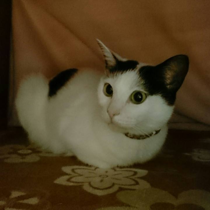 39fd52cb 83cd 4823 9f38 2beeddde3076