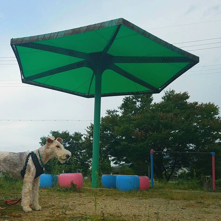 39fd6a62 40e7 4bae b7ab e17dfc63cad7