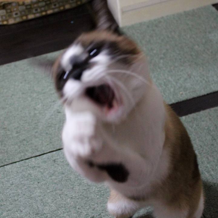 39fd7809 d1a4 4f62 8699 1bb35051f0ac