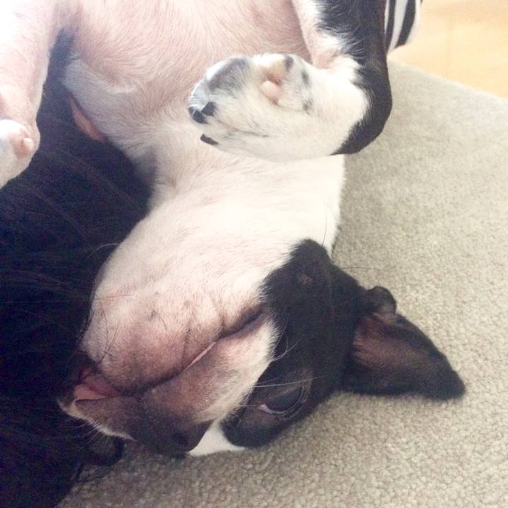 39fda530 a61e 41d8 8da4 51e28aeac404