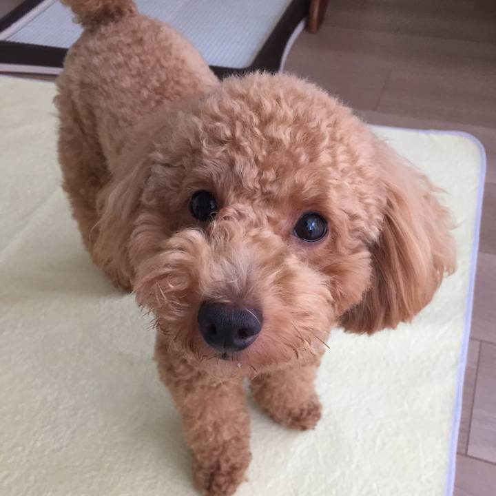 39fdb80b a885 4319 b1a2 bcd966d16d63