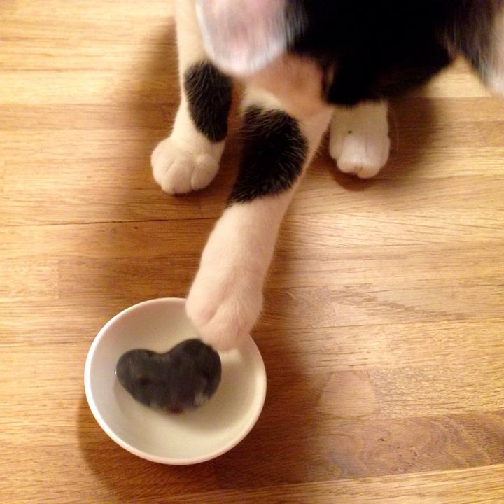 39fe0027 caa2 486e 902a 2401b5c72350