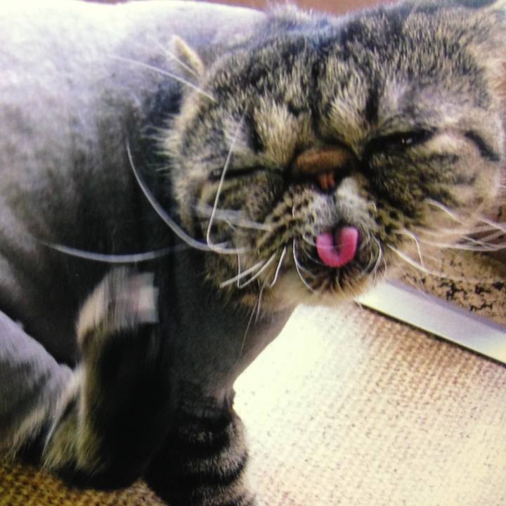 39fe1c11 4d9f 4c24 bb88 1a2c572b2141