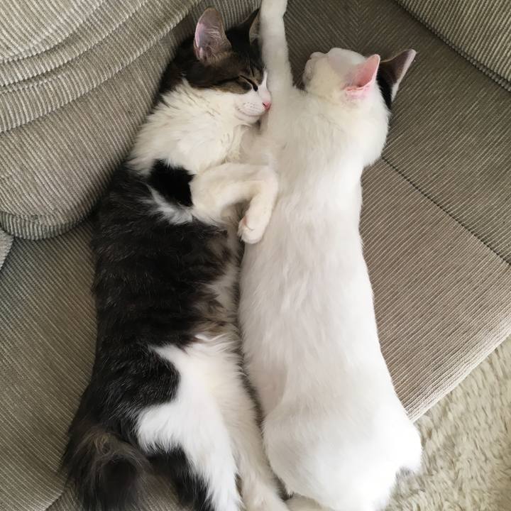 39feb0db b007 4d03 a75d 2ff91a0a27e9