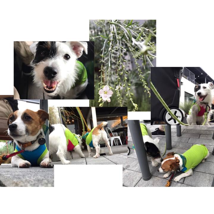 39fec0e6 bdc8 423d 9e02 fa64d381d6f4