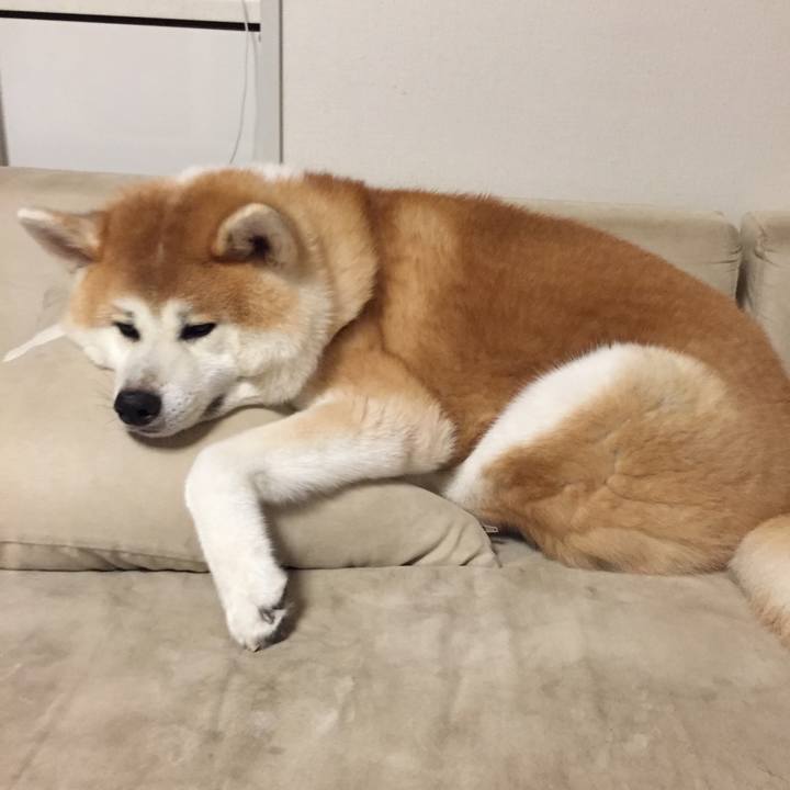 39fef100 3a7d 4d71 b3fe 23ffd2991435