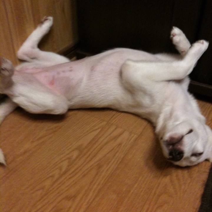 39ff079a e8ba 40c0 b78a bf715d01f99c