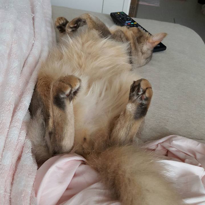 39ff08f4 1462 49c4 80b6 2df37e8d03a3