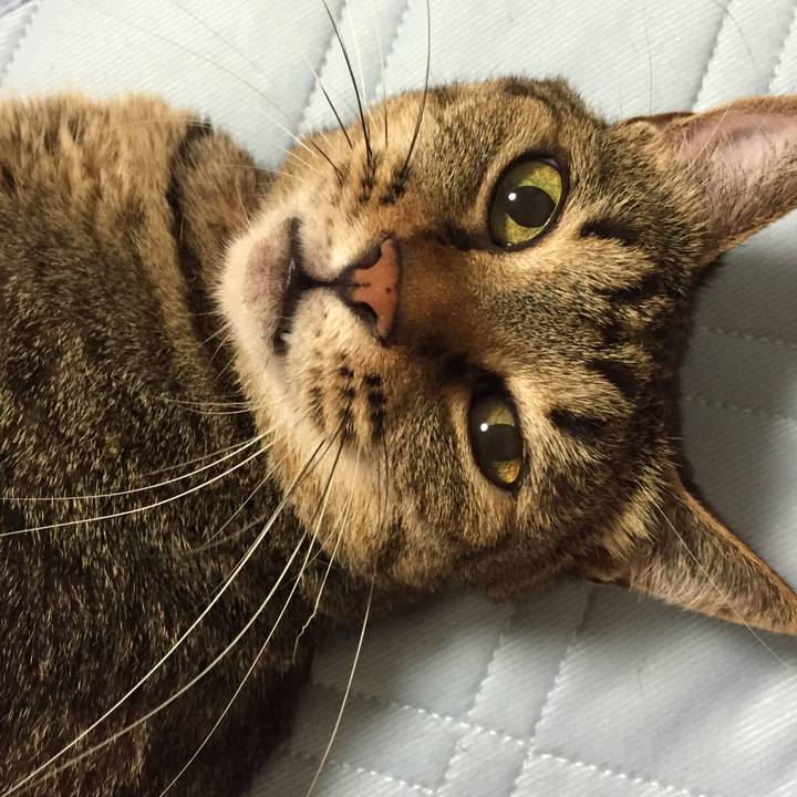 39ff72c9 5011 407b 876a 725232dc6bf9