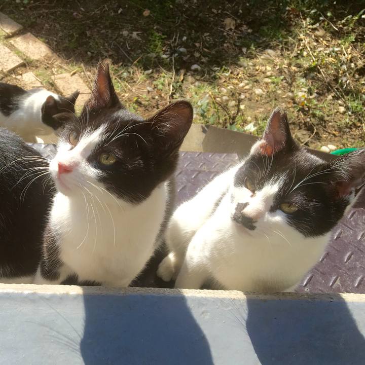 39ffb142 82c5 4e28 a56f 323a97b77842