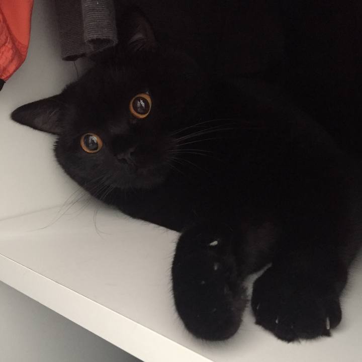 39fff90a 4228 4da0 b4ba 03e4770fe98c