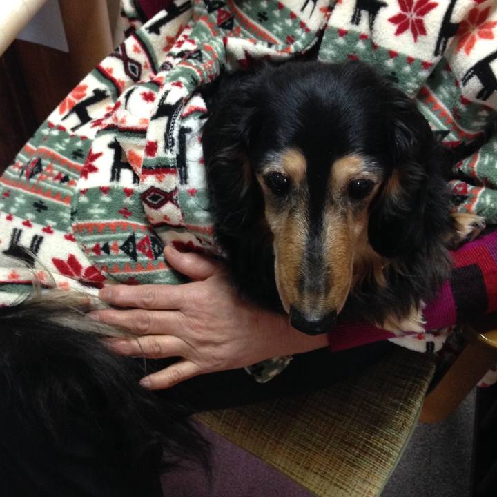 3a00208d 2797 45d9 aa09 9874f7666297