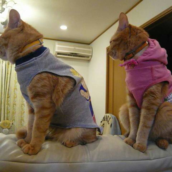 3a00ac31 d509 481e aaab 4685ac10b3a5