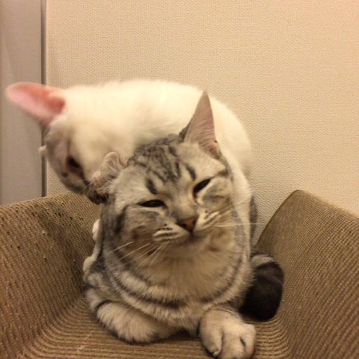 3a00da06 0847 49d9 a831 8e9f03618131