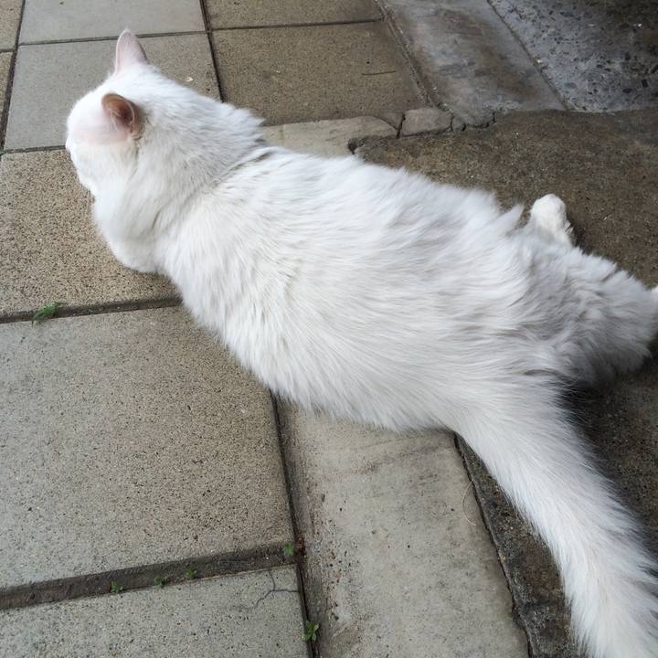 3a012a6b e7de 4eb2 bba8 c5aec1d3152e