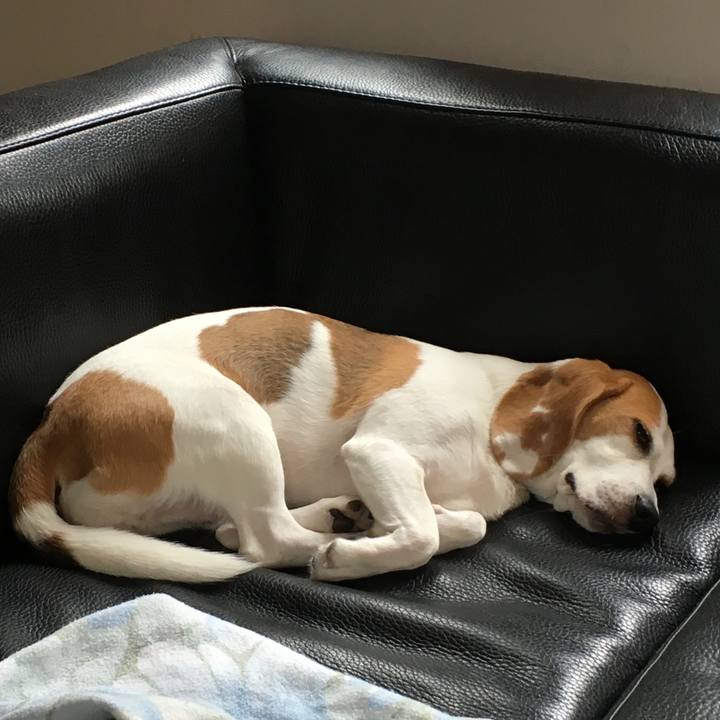 3a01d844 f509 442c 8f95 c2f86cd2323b