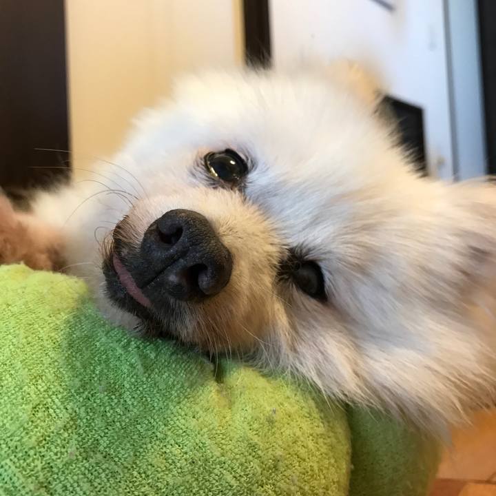 3a01f003 db20 4077 8c04 a576deb03ce9