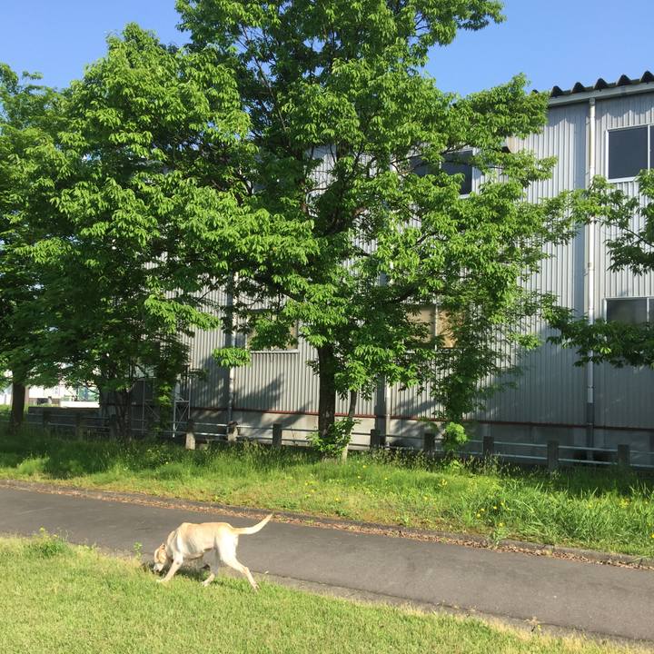 3a025262 d621 4aaa b6a1 6b8c120241da