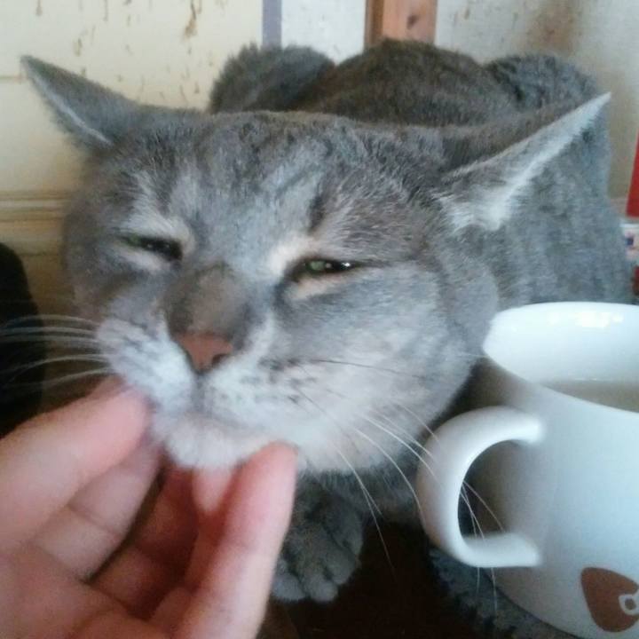 3a02536f 94c7 4387 8f10 7f2f4621413e