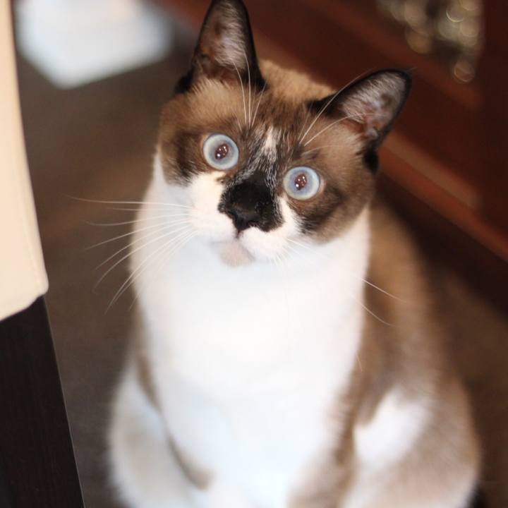 3a034d01 5df9 4d68 bb6b 927adb13c5b3