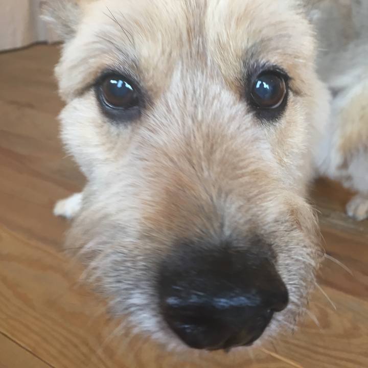 3a04a74d f283 4fdf 965b 2c043af42905