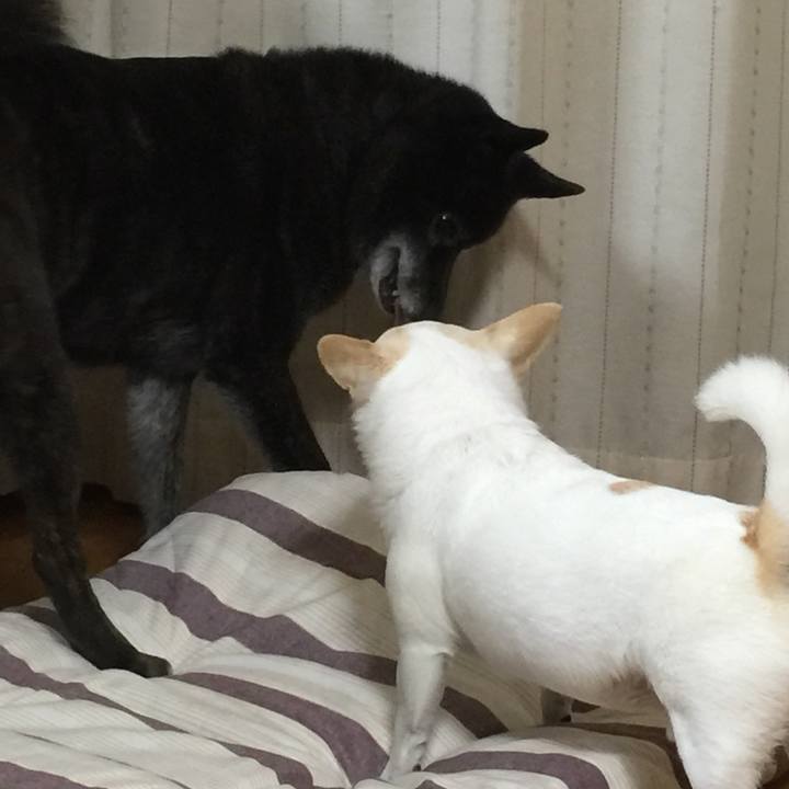 3a05a9d6 8f70 4937 8cb6 e6aea2c6e574