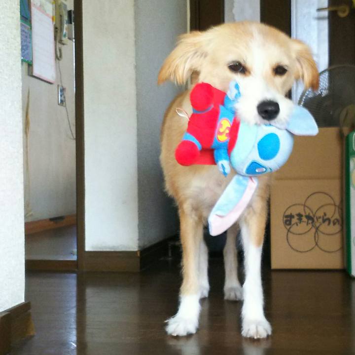 3a05f40c 691c 405b b287 d26c4f8b7dc0