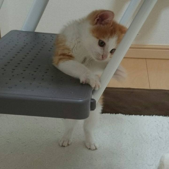 3a060aaf b36b 4132 a452 b17edb275097