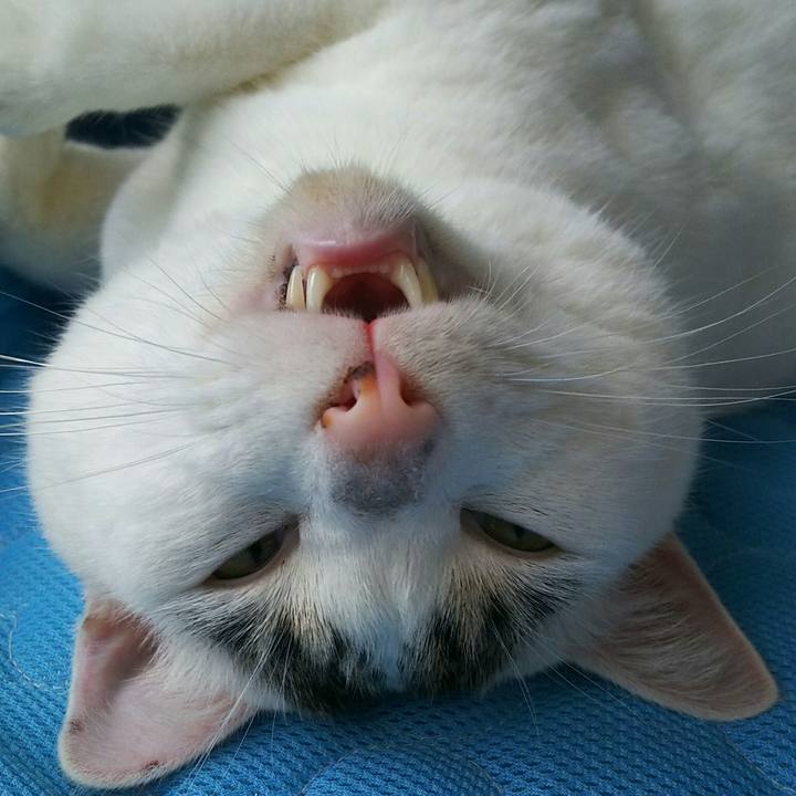 3a065bbc 95fb 47d2 8cc7 17cd30894f3d