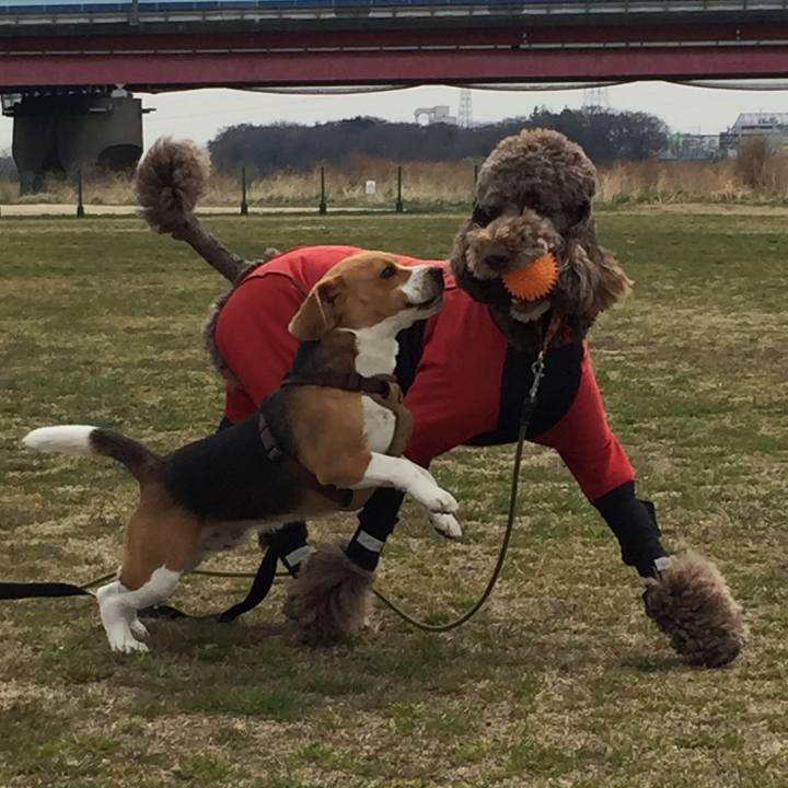 3a06b8b7 8961 442a a2f3 9de97a8658c3