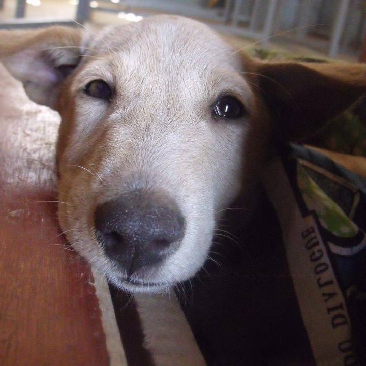 3a06bbd5 1f91 445f a6c9 7520dadb4c66