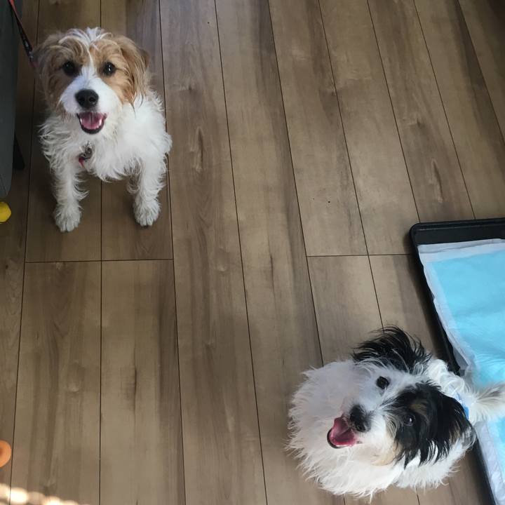 3a06f1f0 17f2 4e3c af95 3a1e560caa94