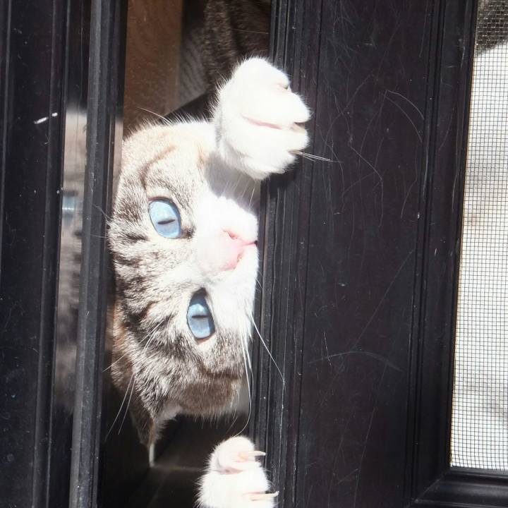 3a078eef a893 4ba3 97de ce11ae16c7f4