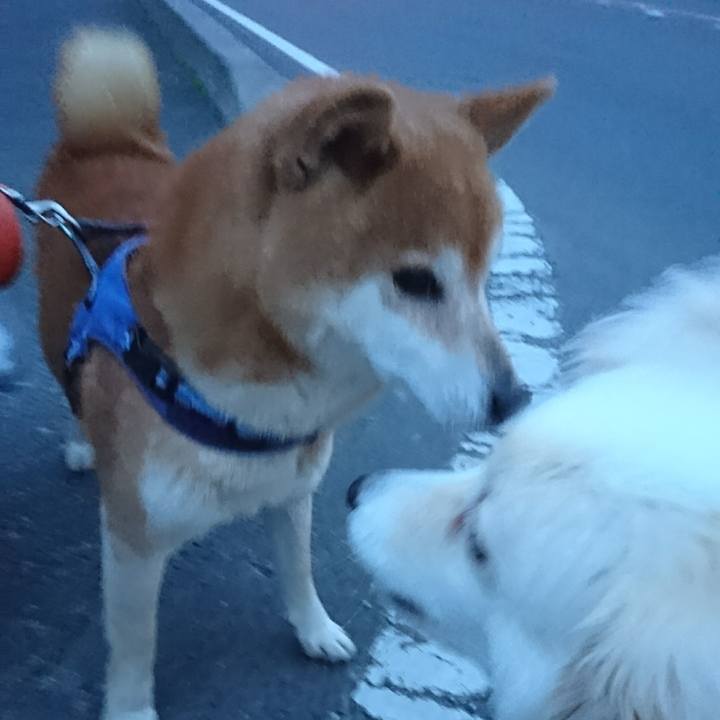 3a07e3cc ec36 4755 bdc0 30350727043f