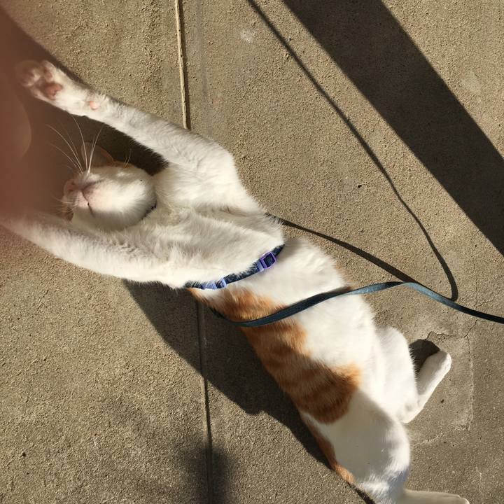 3a07fc42 5e81 4562 aeb3 4601eb3905f7