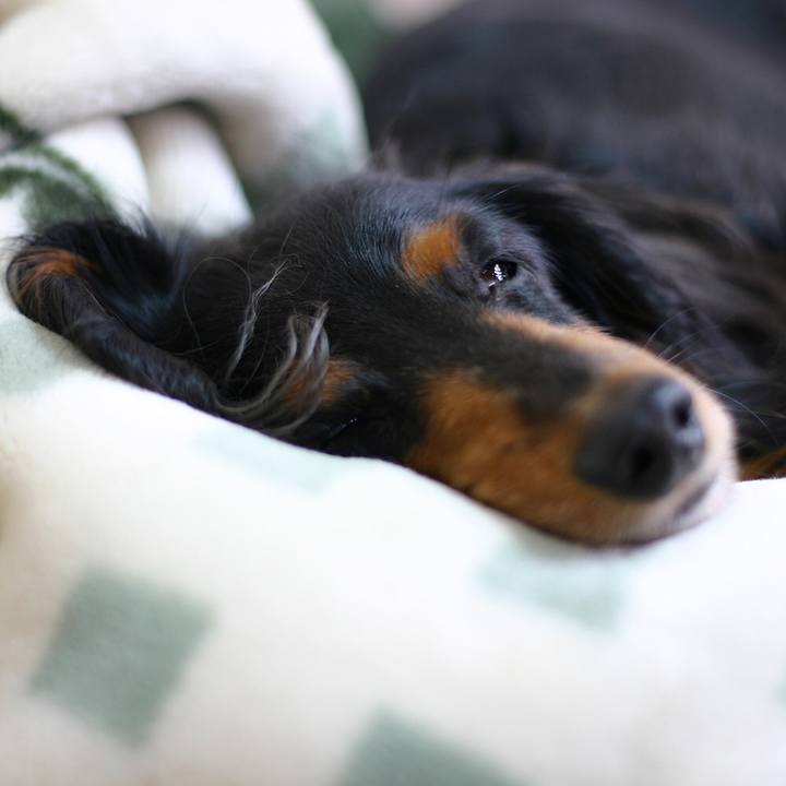 3a083df2 69fc 4529 8a2a 29a28680c81a