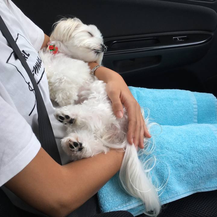 3a0857c6 d8a0 4c2d aca5 92dd96dec0e5