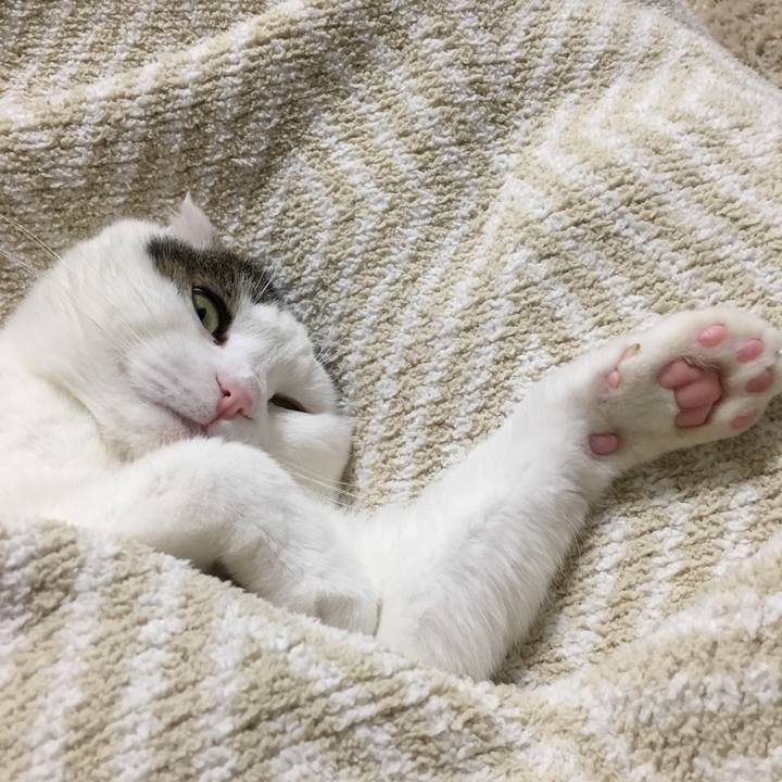 3a08bd11 67c1 43ae b5fd 9ecb1e87478b