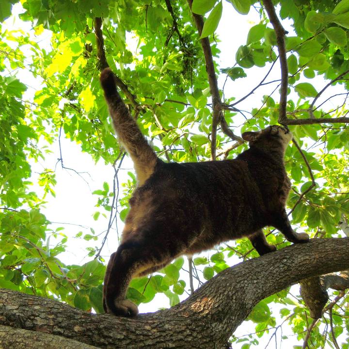 3a08de3f 2400 4114 b9c4 b3dc752e90ce