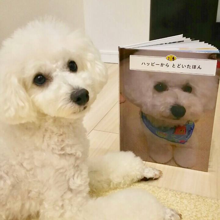 3a08f261 af9f 4e92 b402 d0d30b17d791