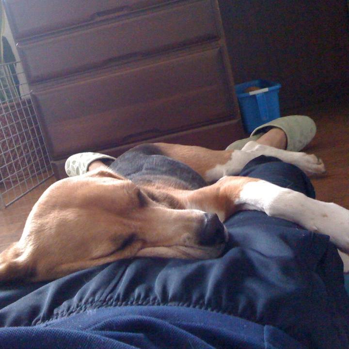 3a098609 79ce 4c2a a60b f7ee9683d365