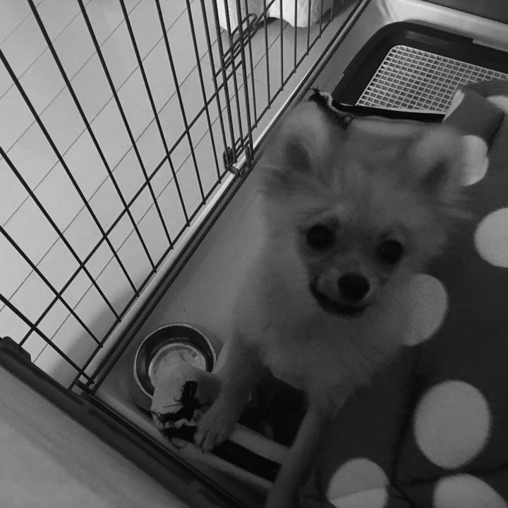 3a0a00a1 5c79 44c6 8f54 9a658705be2f