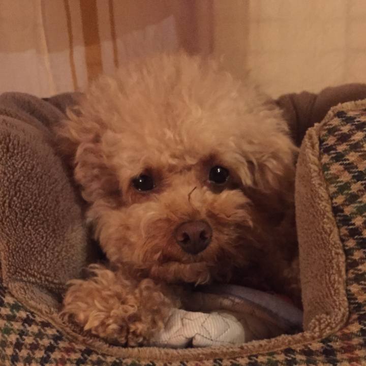 3a0a1b5b b02b 4918 84a2 2738e1029c82