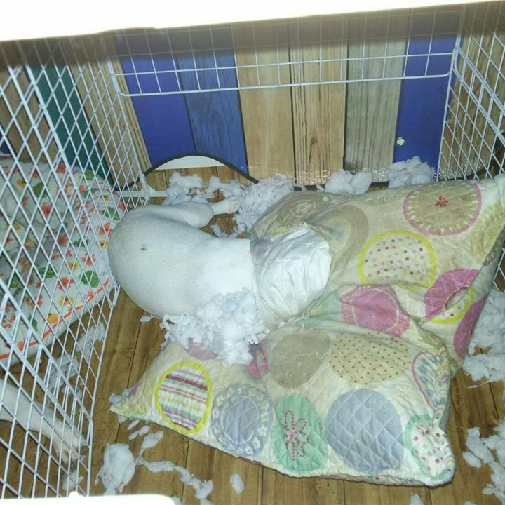 3a0a1eb6 c263 4c84 bcee 2b9694a03b9d