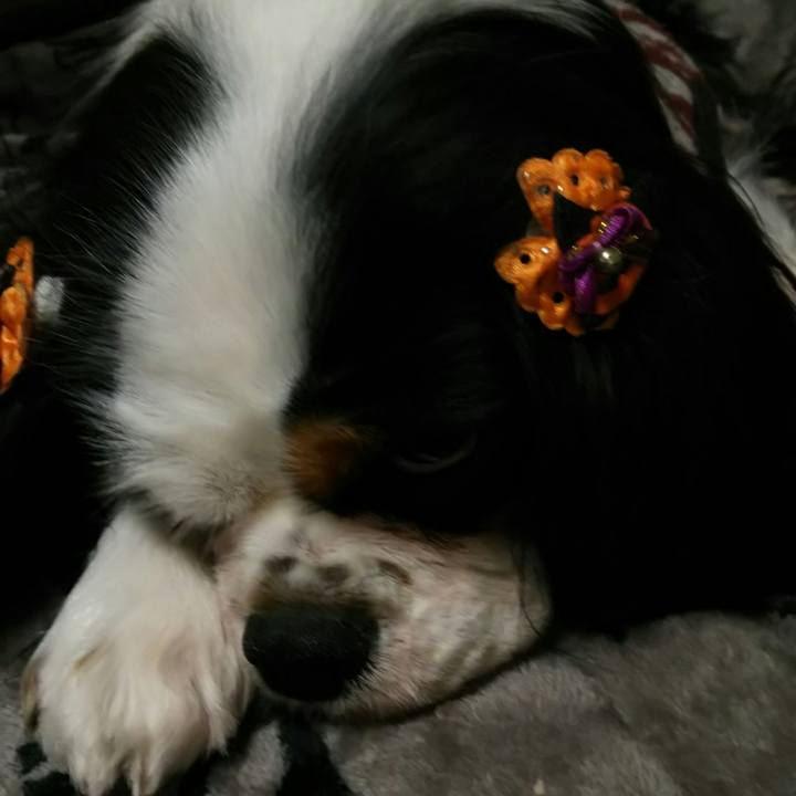 3a0a235c 52fa 4c31 8901 5d92546304f7