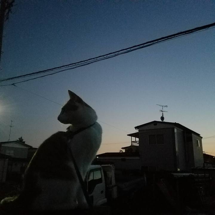 3a0ade1f b2f2 4087 96a1 6759debdbe44