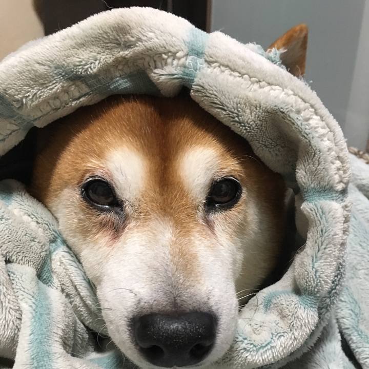 3a0c50e0 a5df 40a0 a886 fa229480f0eb