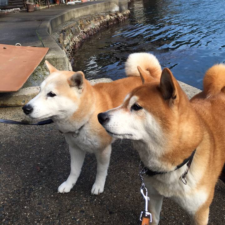 3a0c7201 42af 41d5 88e9 80e0c863617c