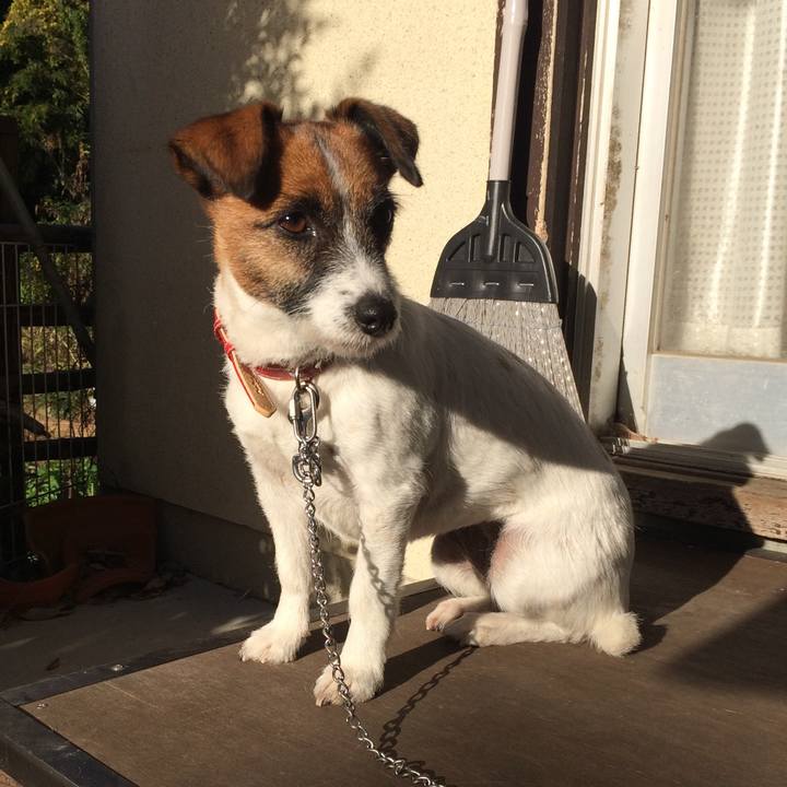 3a0c805d 5572 4930 8a27 ed72ab06bdcc